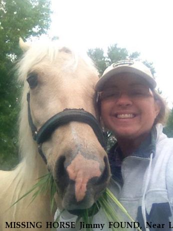 MISSING HORSE Jimmy FOUND, Near La Valle, WI, 53941